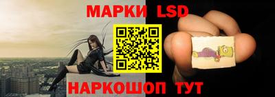 стафф Гудермес