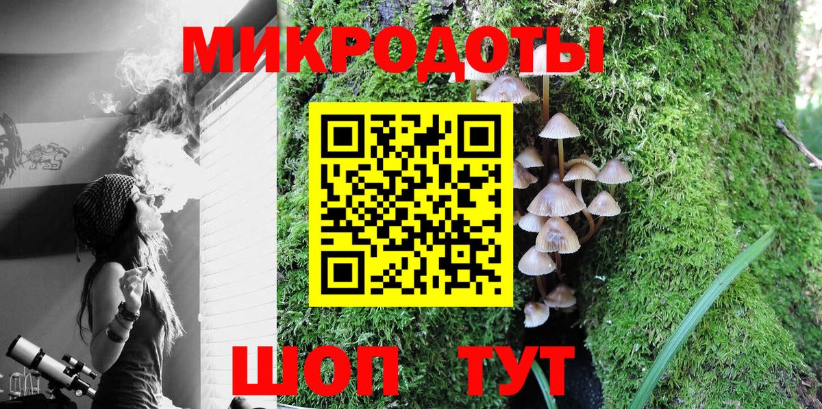 Галлюциногенные грибы Psilocybine cubensis  Галлюциногенные грибы ЛСД  Елизово  что такое   Вход с VPN 