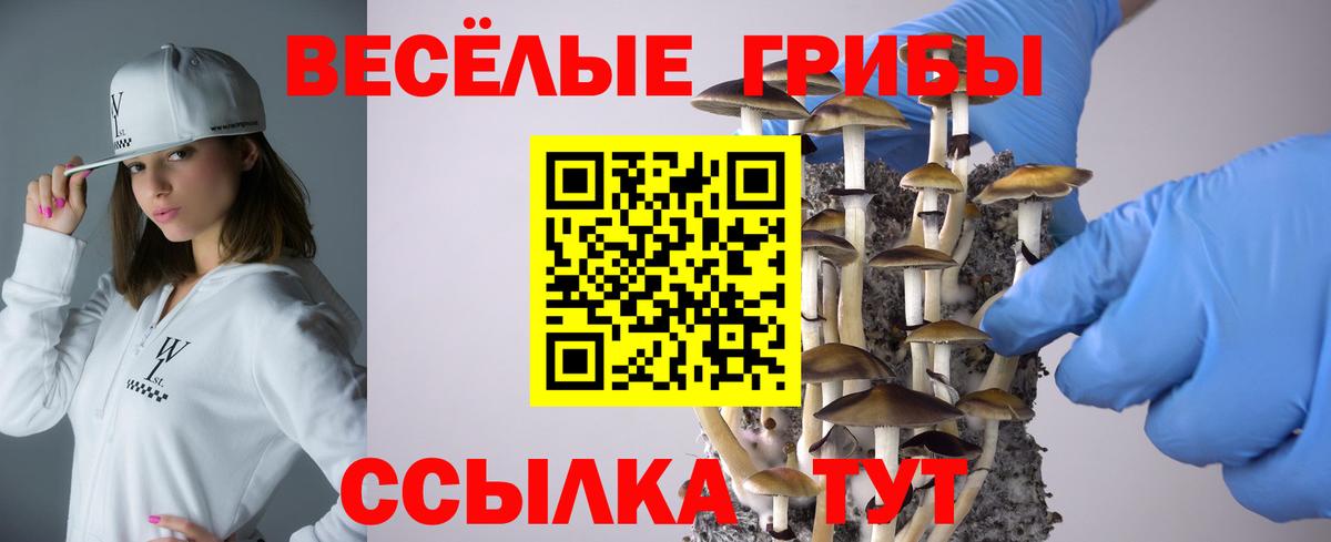 Галлюциногенные грибы MAGIC MUSHROOMS Елизово